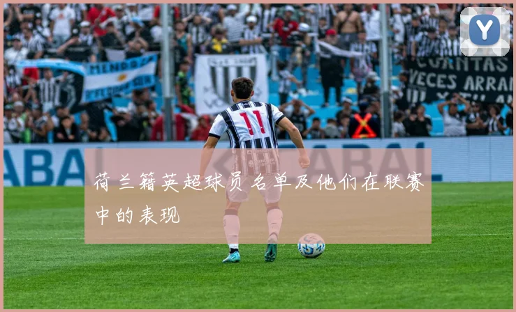 荷兰籍英超球员名单及他们在联赛中的表现