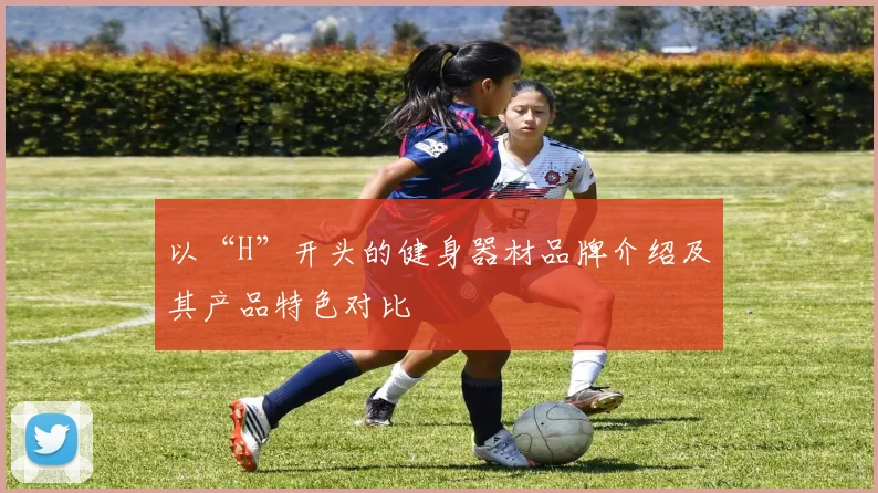 以“H”开头的健身器材品牌介绍及其产品特色对比