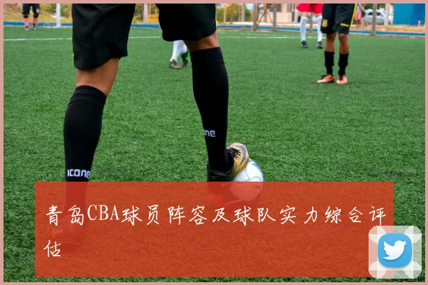 青岛CBA球员阵容及球队实力综合评估