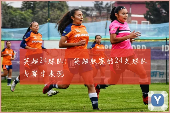 英超24球队：英超联赛的24支球队与赛季表现
