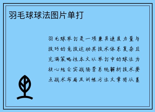 羽毛球球法图片单打